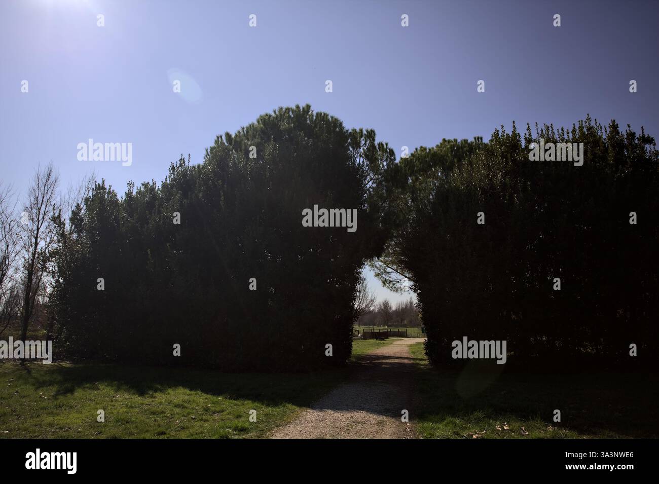 Hedged Opening Arch opening in a hedge with a trail passing under in a park in the ...