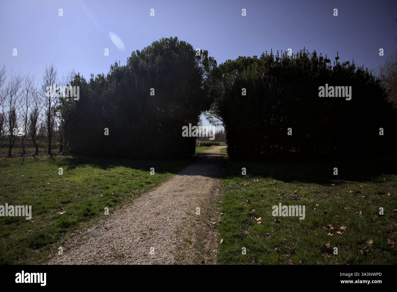 Hedged Opening Arch opening in a hedge with a trail passing under in a park in the ...