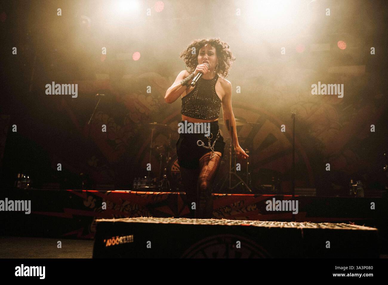 Konzert von The Baboon Show in Berlin Am 16.03.2025 gab die schwedische PunkBand The Baboon