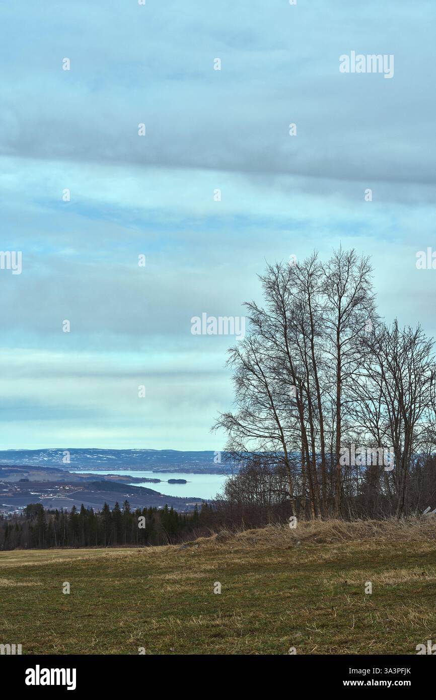 Lake Mjøsa seen from Holmstadsveen Stock Photo - Alamy