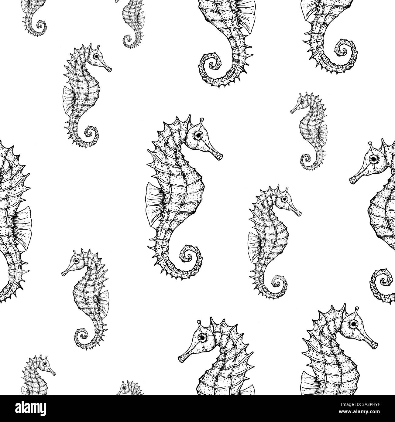 Seamless pattern with vector seahorse. Hand painted line art. Graphic ...