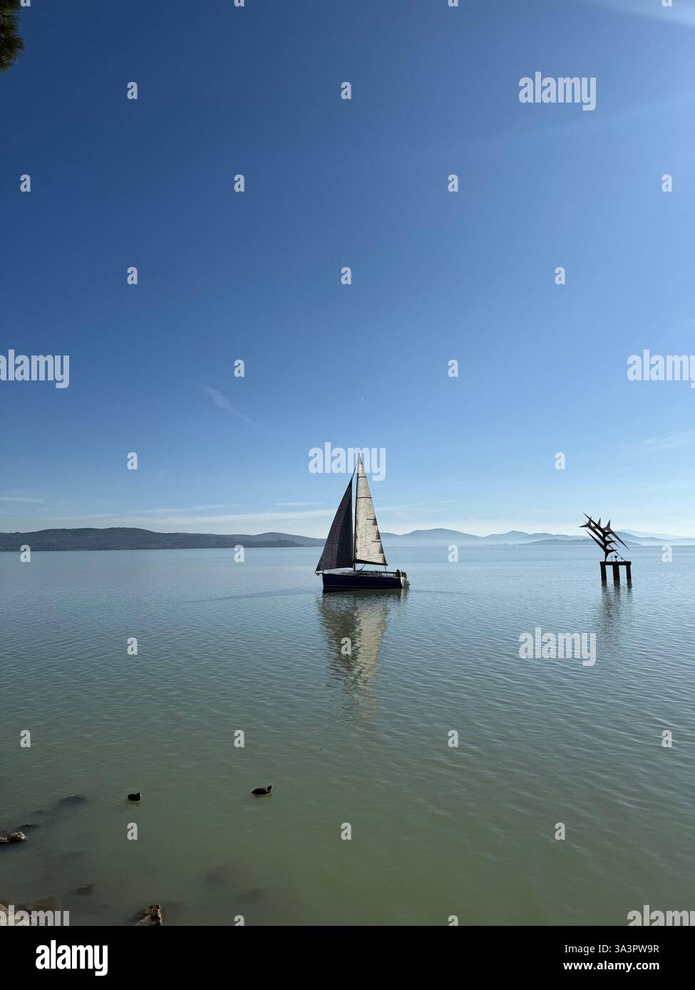 A day at trasimeno lake - Smartphone Captured Stock Image