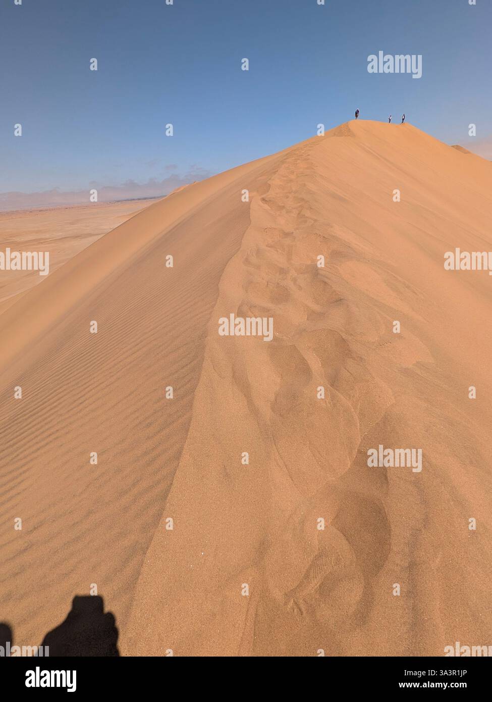 Beautiful desert sand dune showing the heights of the dune with the edge and footprints - Smartphone Captured Stock Image