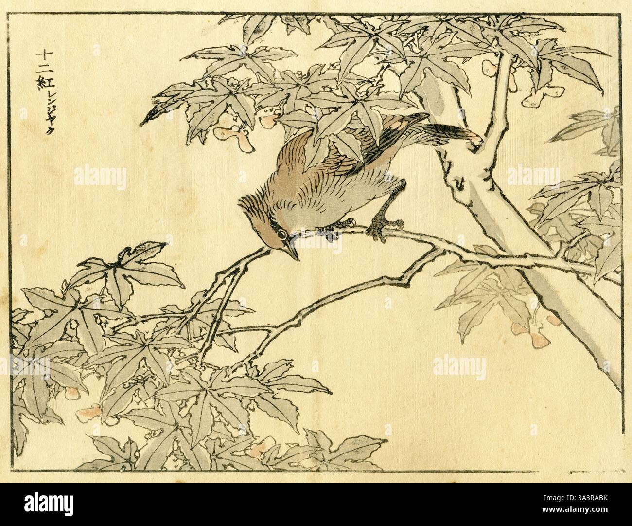 Japanese woodblock bird hi-res stock photography and images Japanese woodblock bird hi-res stock photography and images