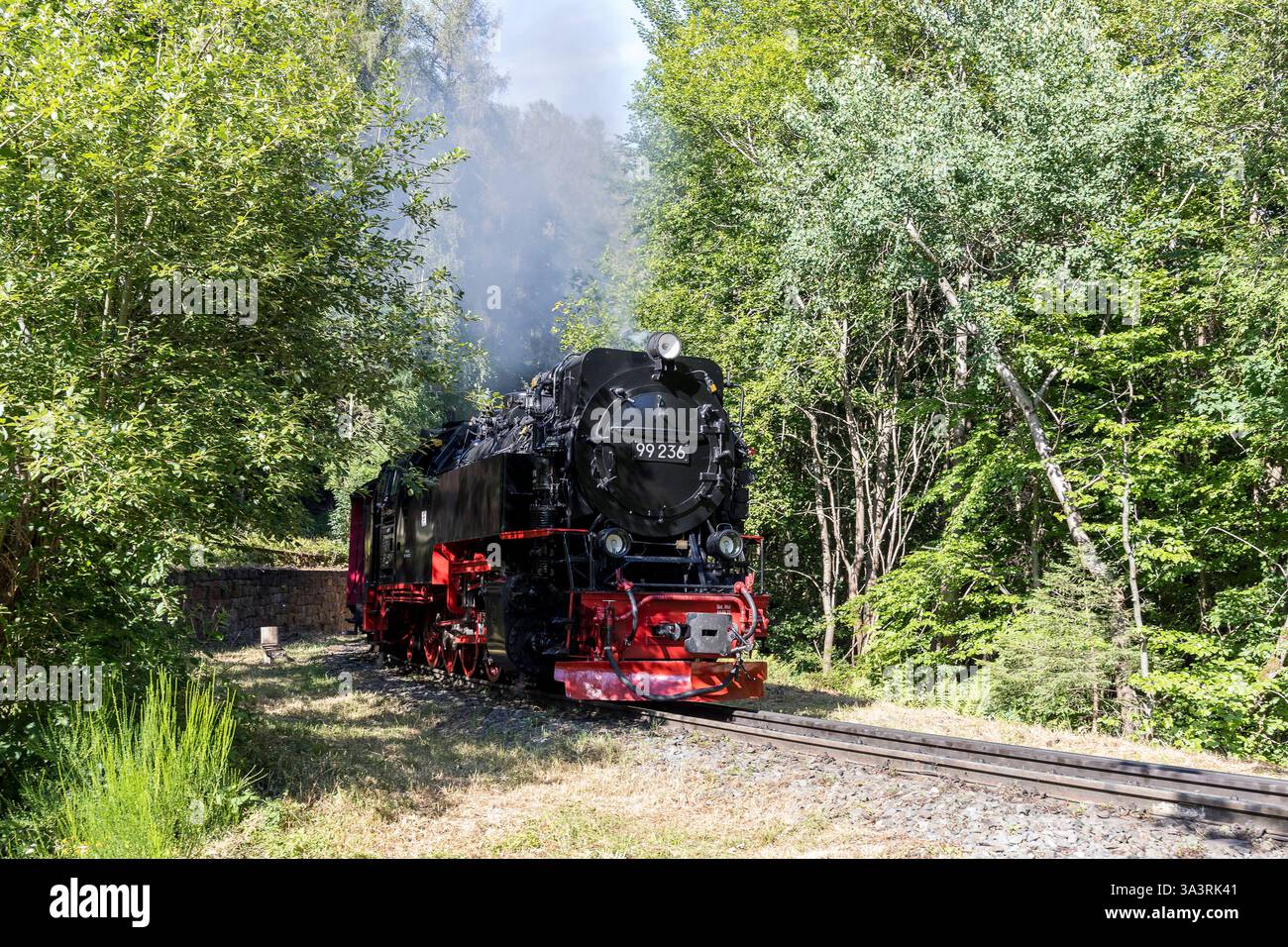 Harzer Schmalspurbahn im Thumkuhlental zwischen Wernigerode und Drei Annen Hohne, Harz, Sachsen-Anhalt, Deutschland *** Harz narrow-gauge railroad in Stock Photo