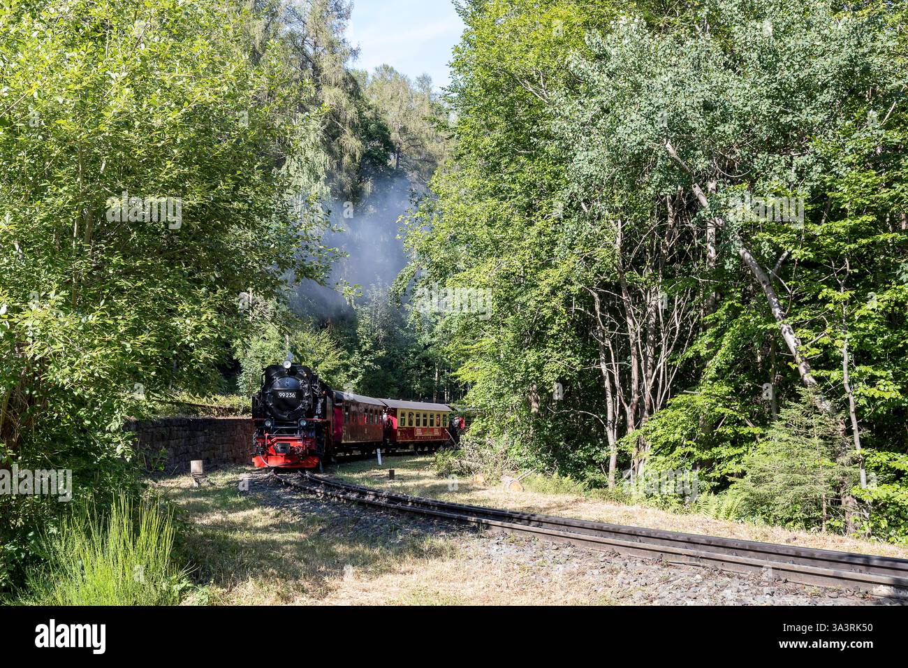 Harzer Schmalspurbahn im Thumkuhlental zwischen Wernigerode und Drei Annen Hohne, Harz, Sachsen-Anhalt, Deutschland *** Harz narrow-gauge railroad in Stock Photo