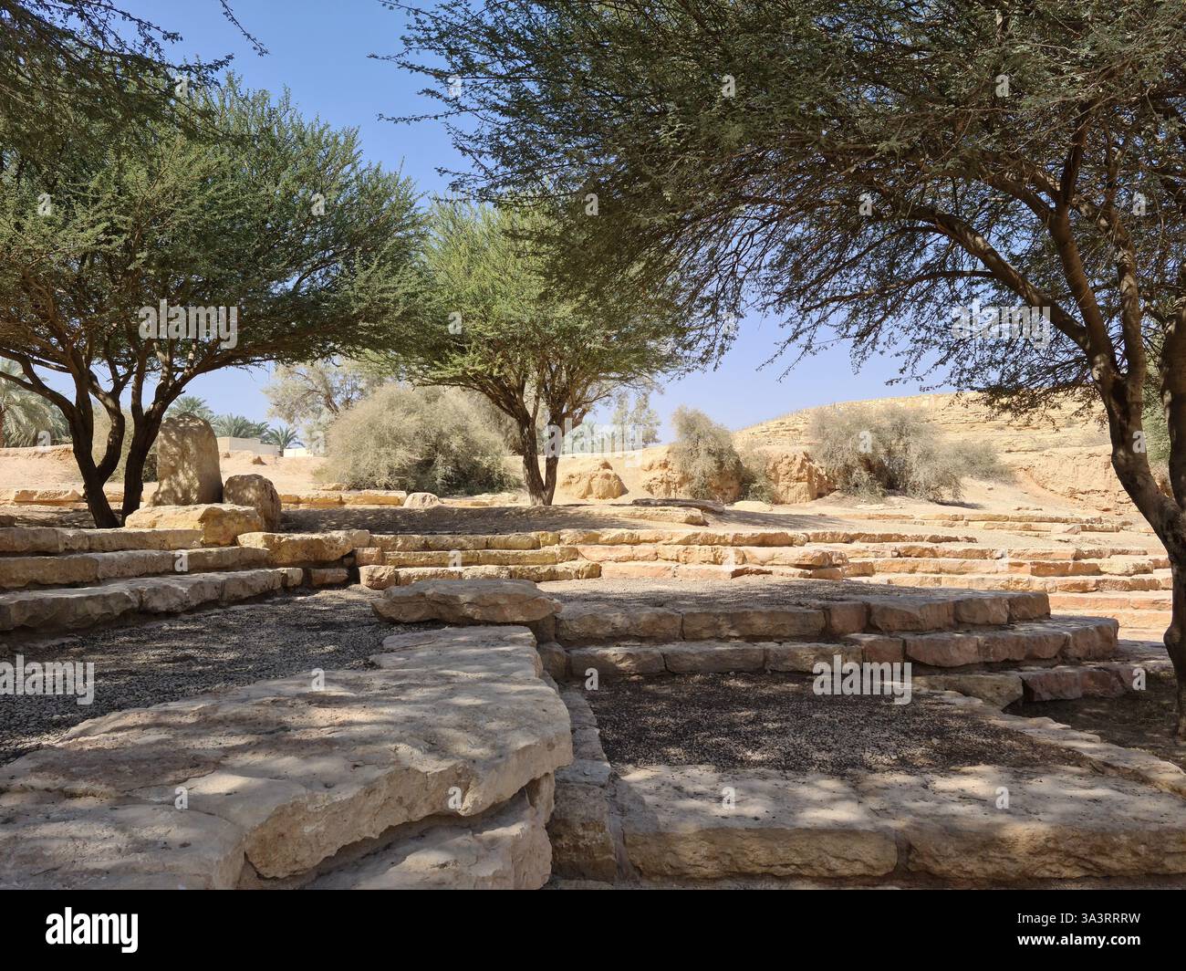 Desert and Wadi Landscape With Lime Stone Bolder Terrace Walls, Acacia Trees and Desert Shrubs In Front Of Blue Sky in Wadi Hanifah, Saudi Arabia - Smartphone Captured Stock Image