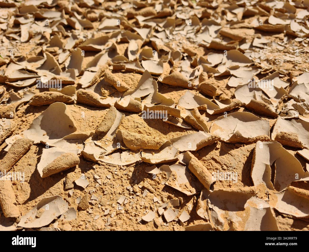 Warped Cracked Sun Baked and Dry Earth in Saudi Desert - Smartphone Captured Stock Image