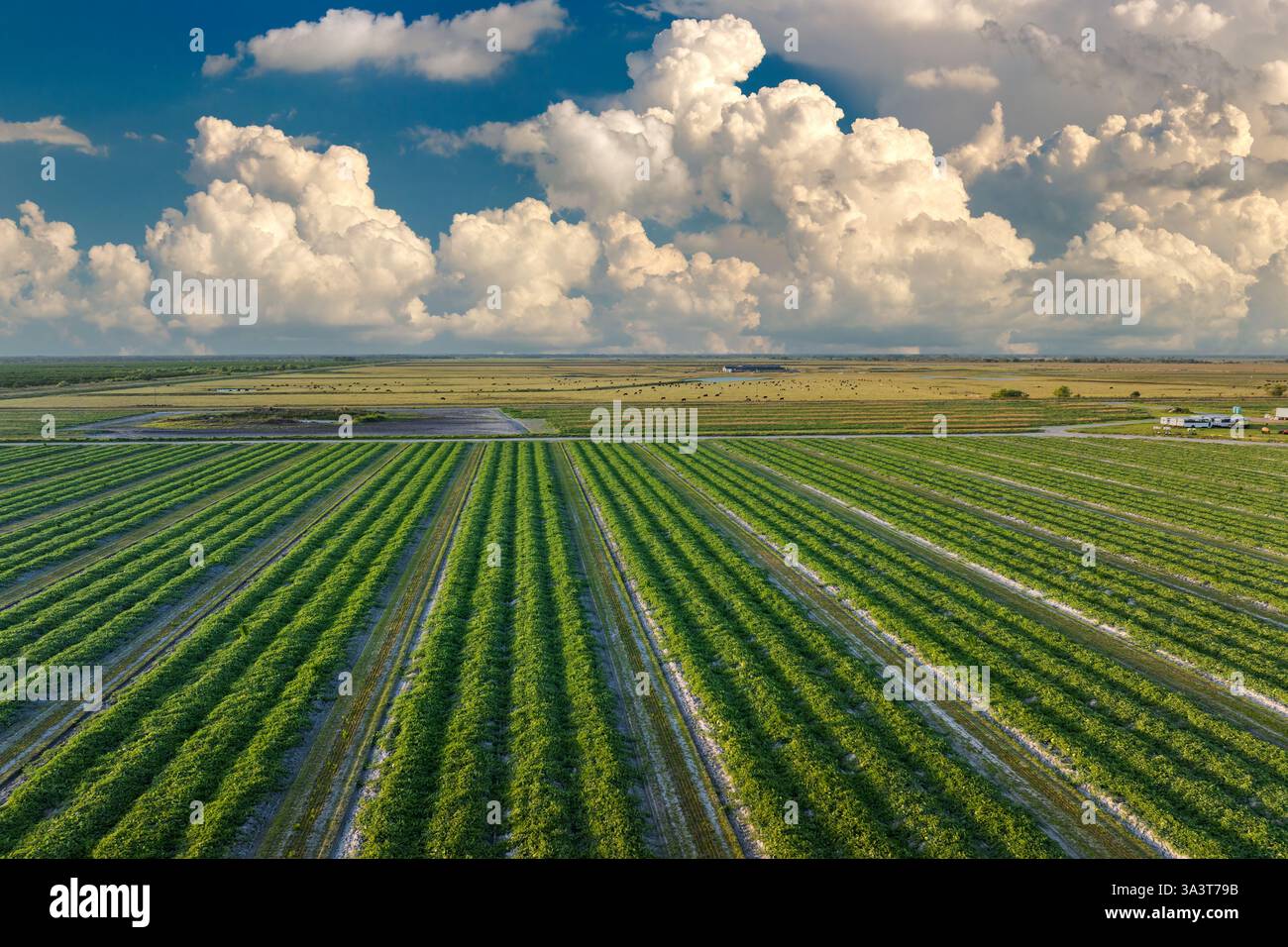 Cultivated land hi-res stock photography and images - Alamy