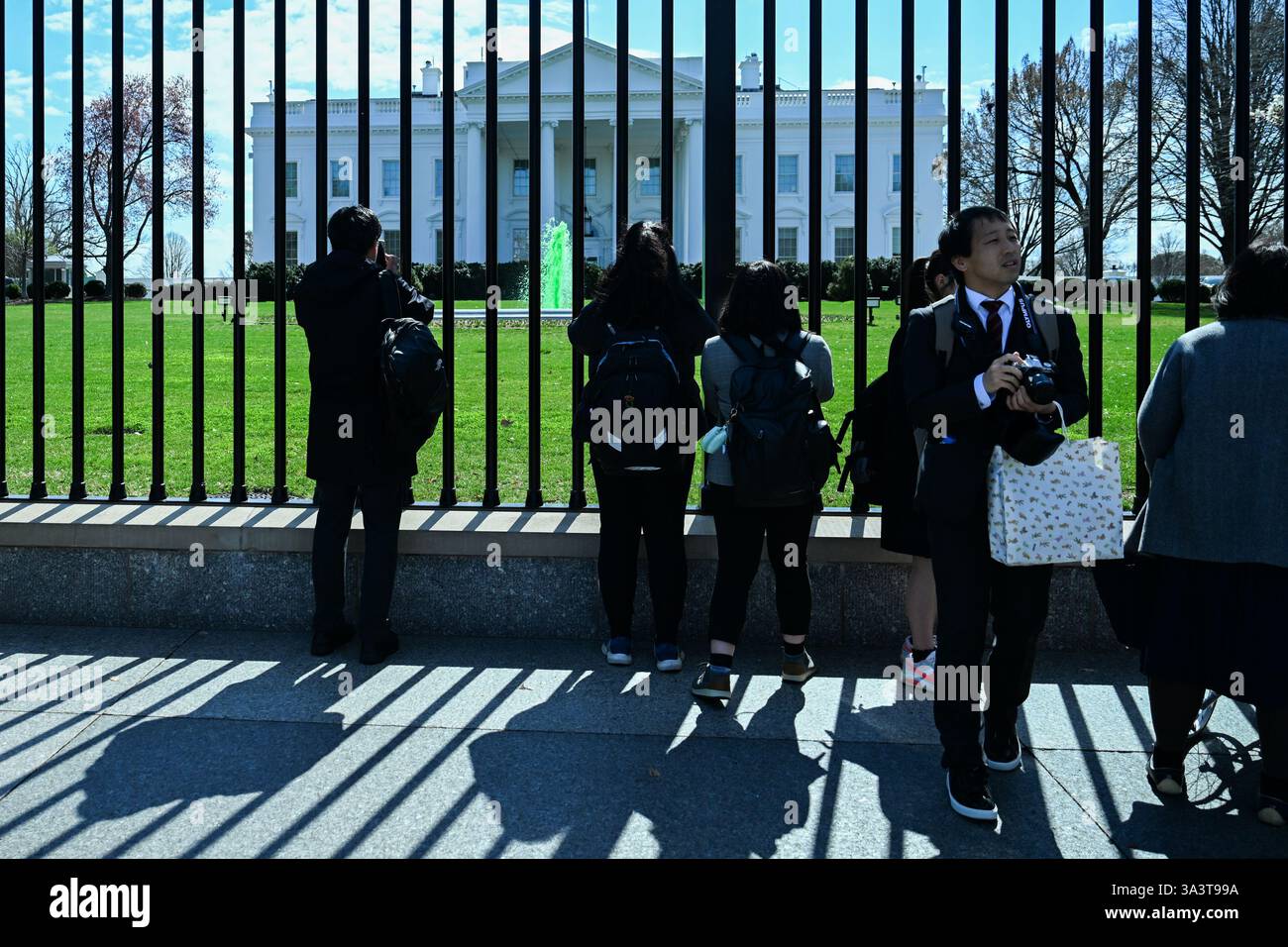 things to do washington dc st patricks day 2025