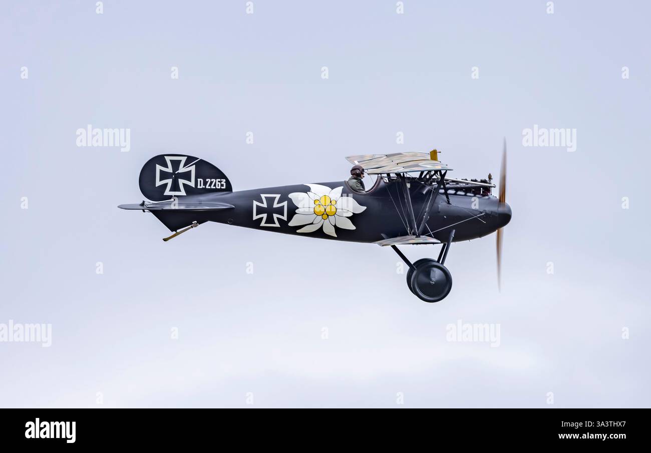 Albatros fighter hi-res stock photography and images - Alamy