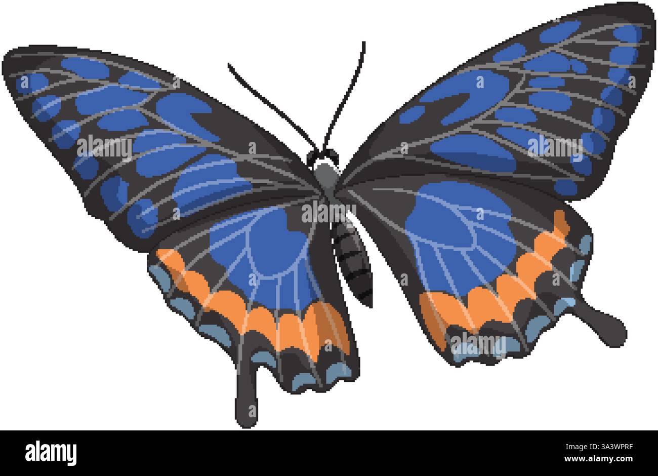 Colorful butterfly illustration with detailed wing patterns Stock ...