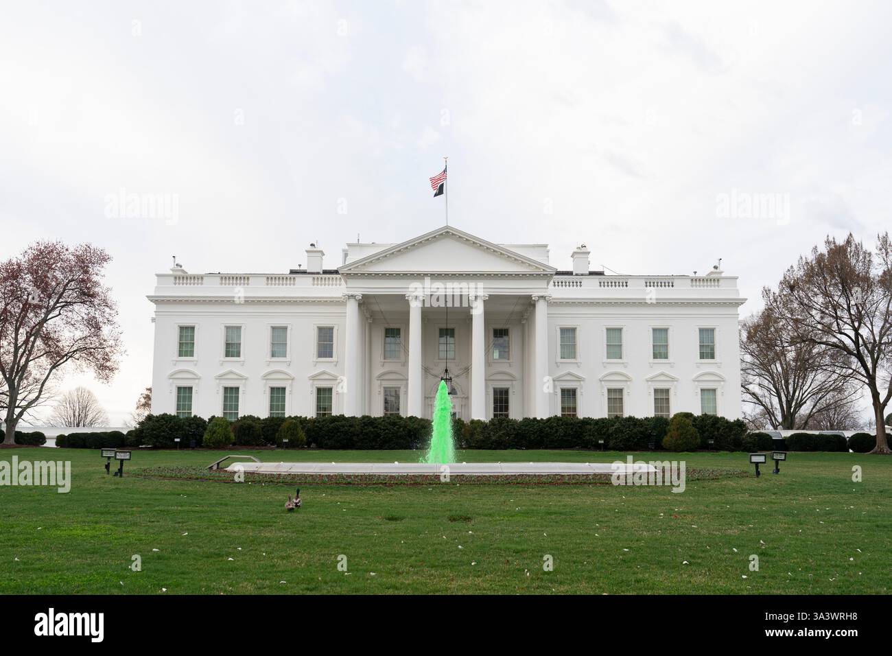 st patricks day events 2025 washington dc