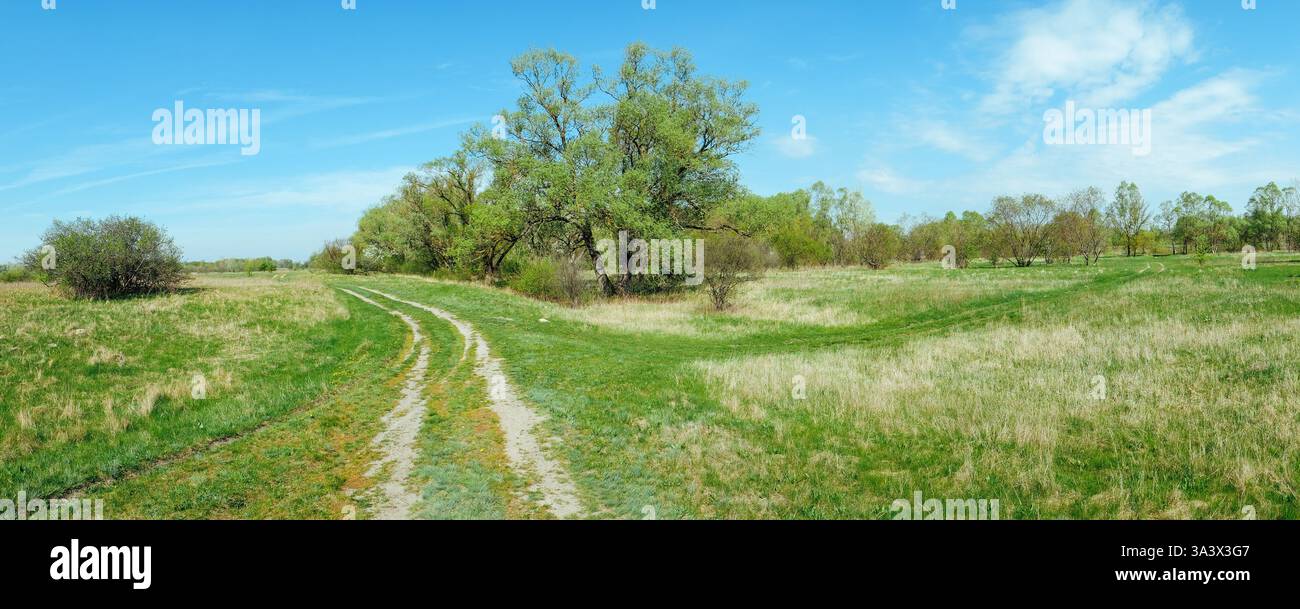 A dirt road and a meadow hi-res stock photography and images - Alamy