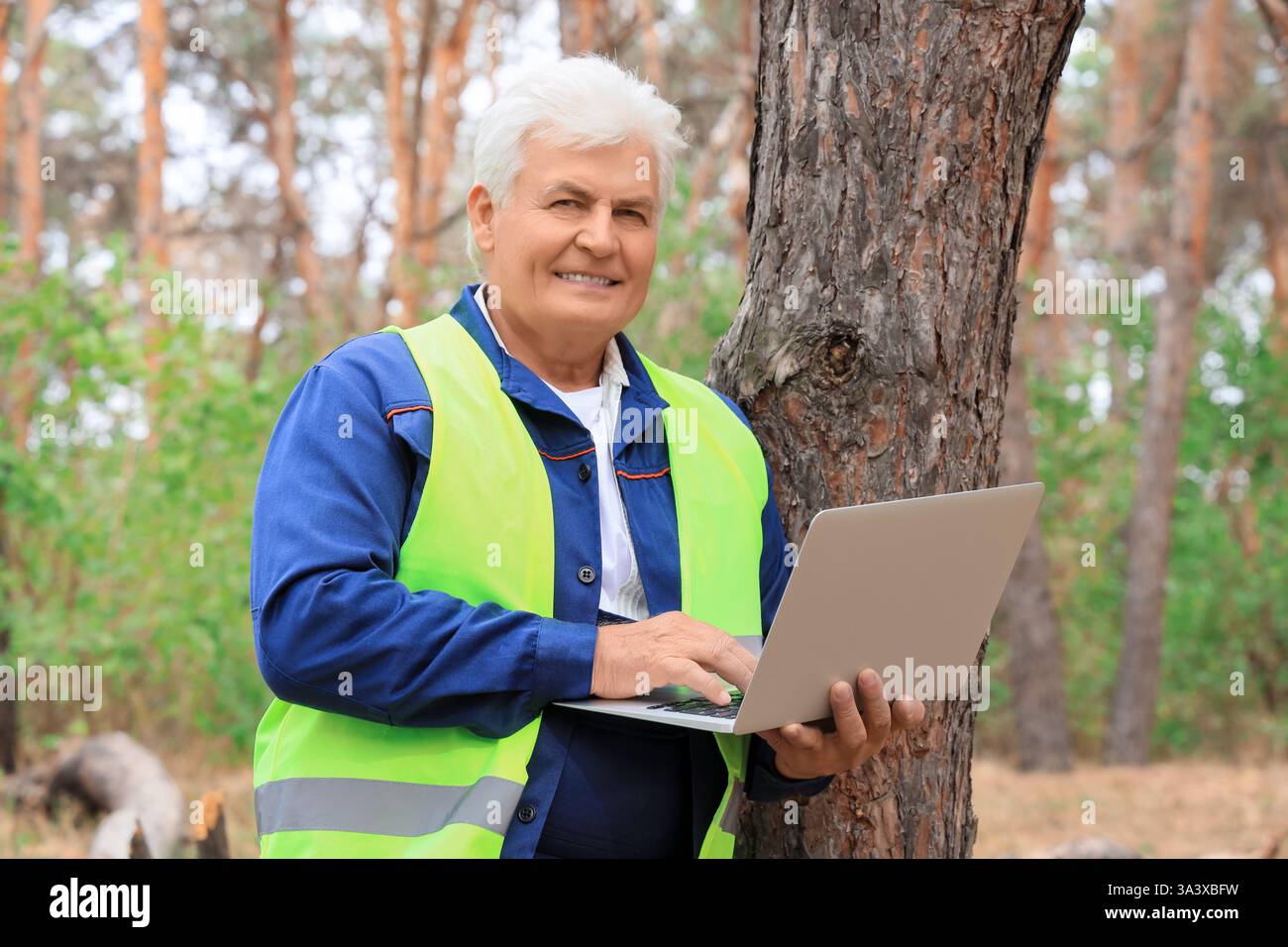 Senior forester using laptop in forest Stock Photo