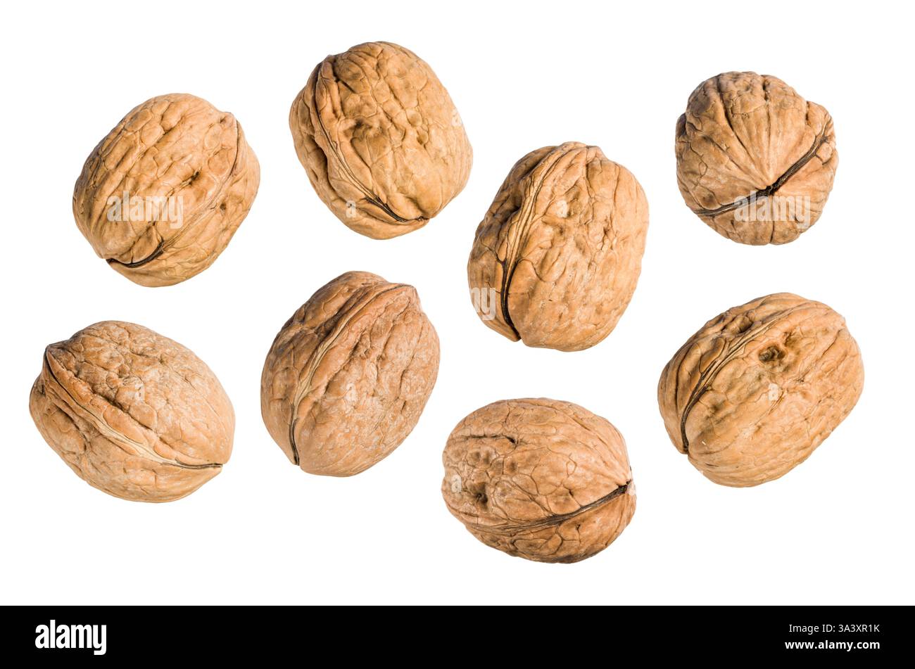 Walnuts group isolated on white background. Stock Photo