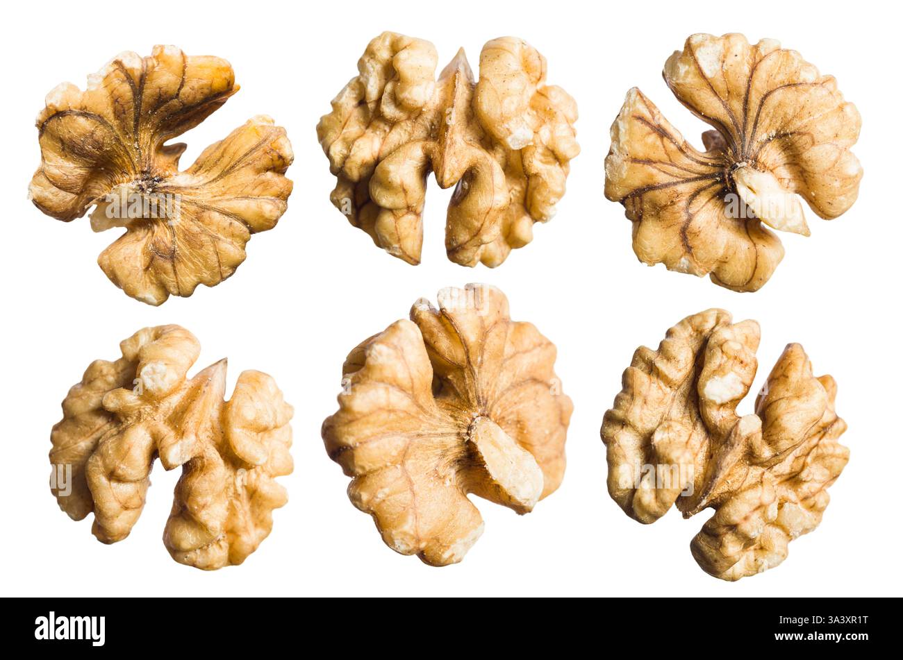 Shelled walnuts isolated on white background. Stock Photo