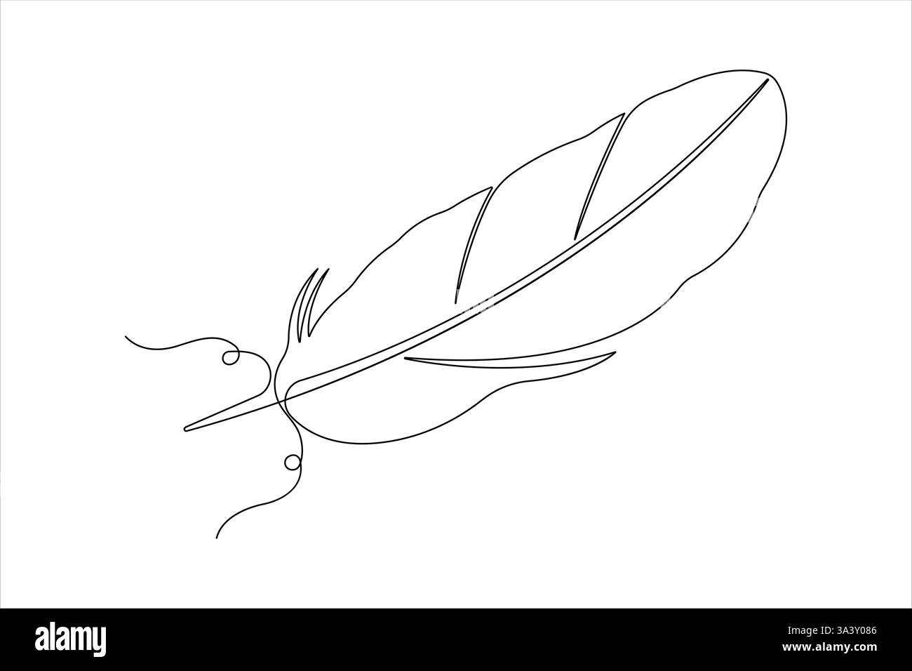 Bird feather continuous one line art drawing of outline vector ...