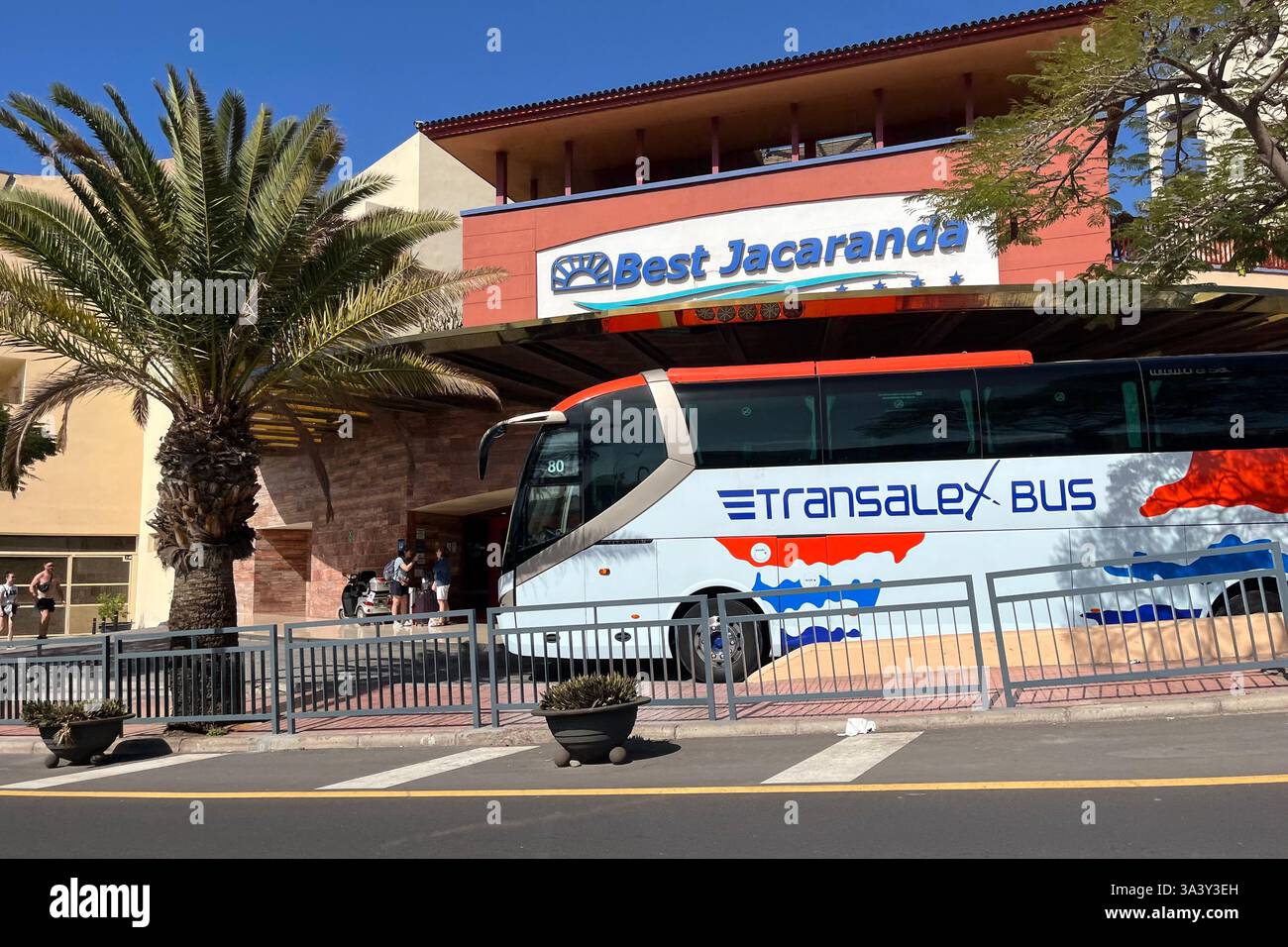 A Transalex Bus parked outside the Best Jacaranda Hotel in Costa Adeje. Tenerife, Canary Islands, Spain. 31st January 2025. - Smartphone Captured Stock Image