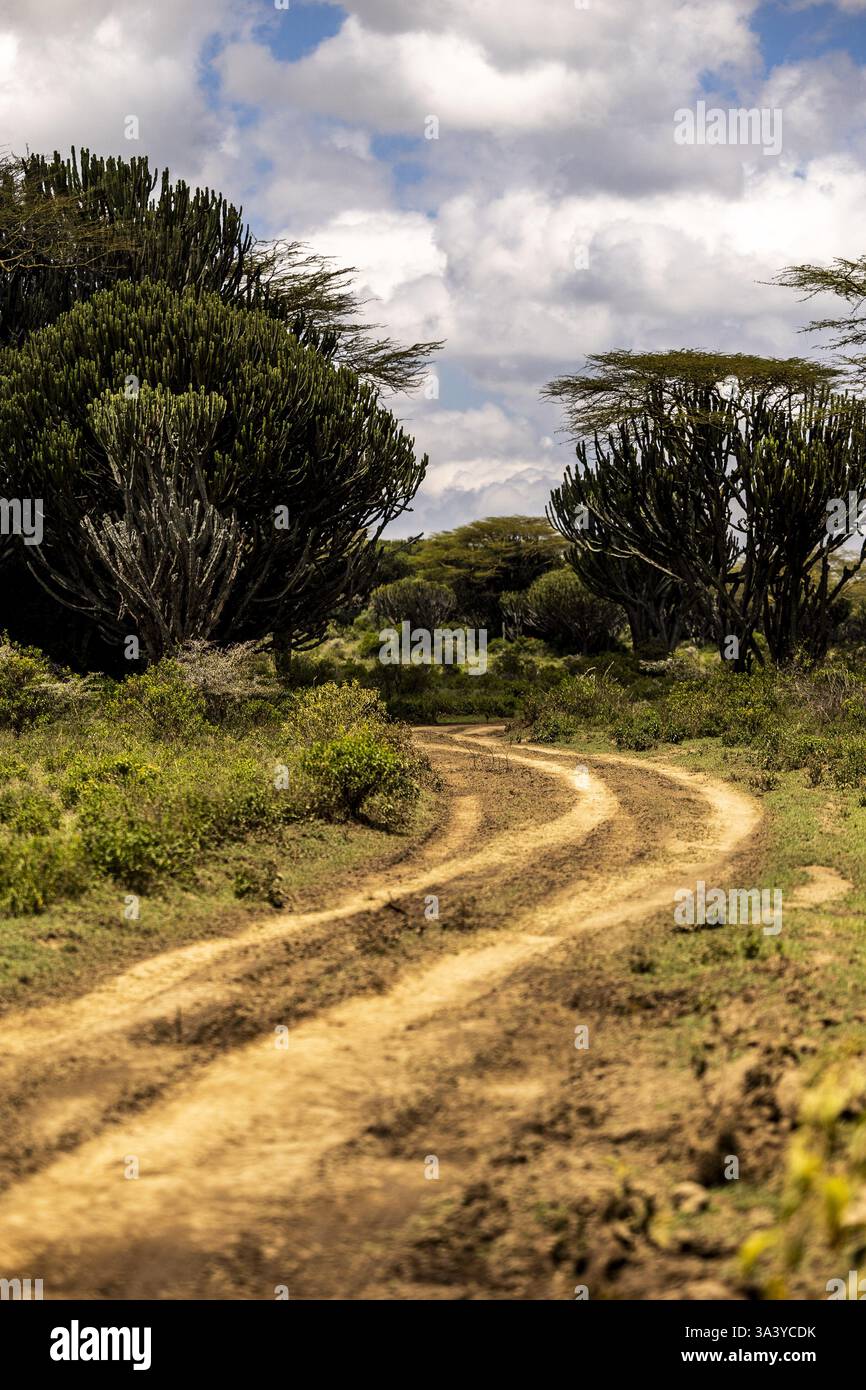Rally safari kenya 2025 hi-res stock photography and images - Alamy
