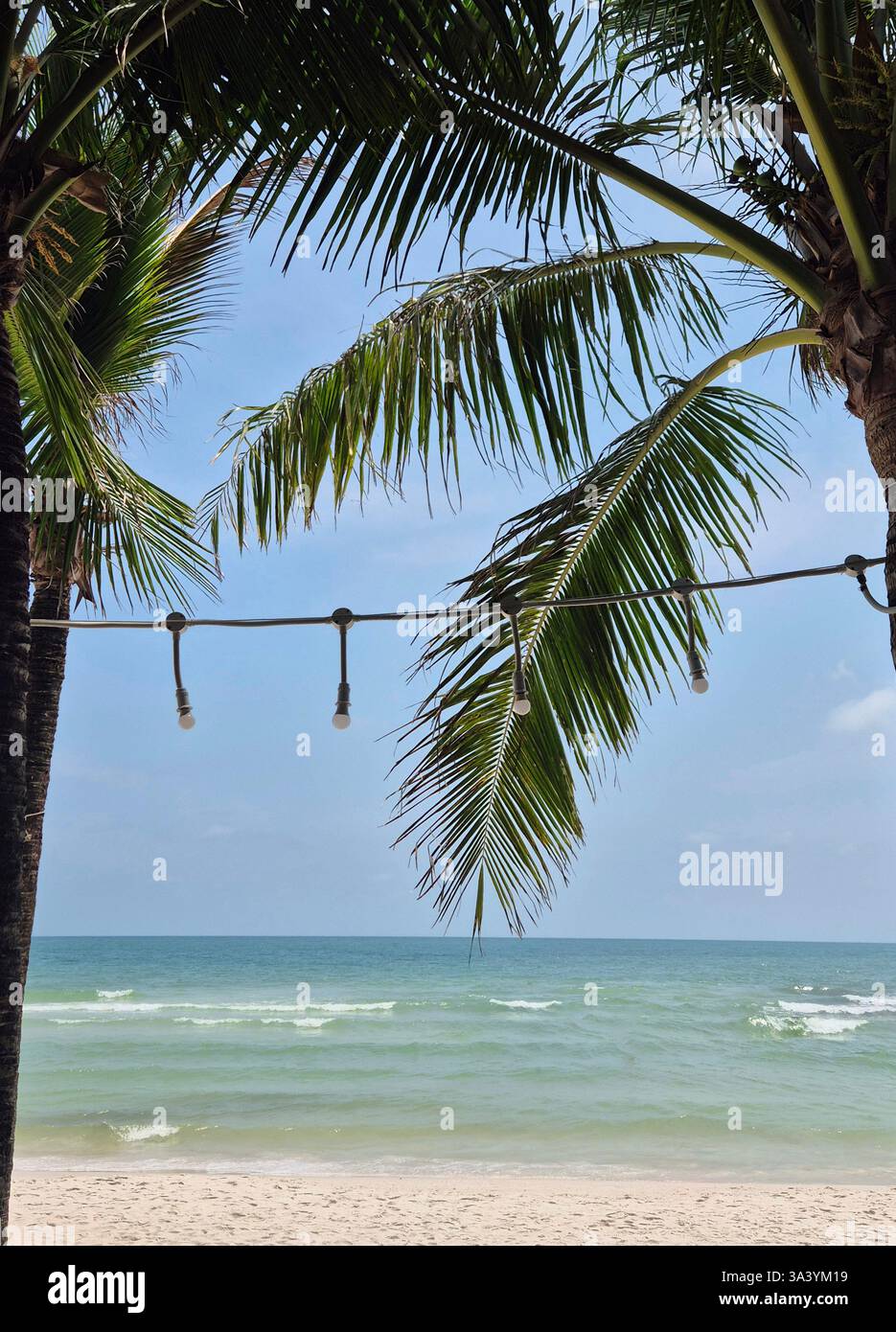 Summer delight. - Smartphone Captured Stock Image