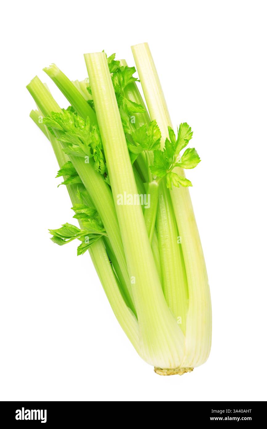 Fresh celery isolated on white background. Top view Stock Photo