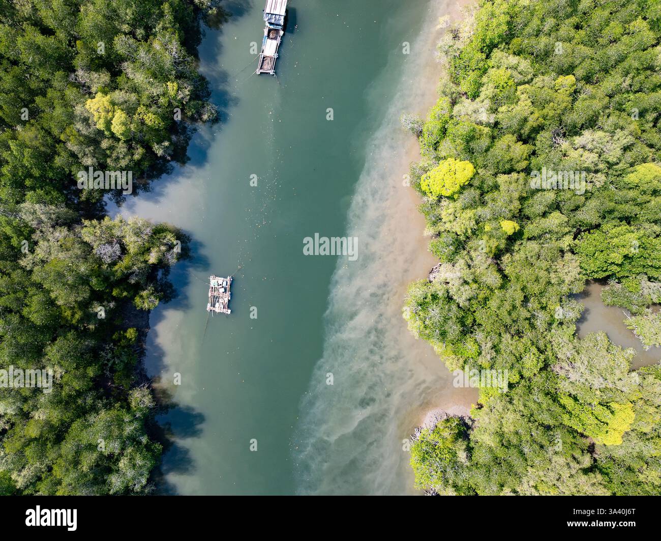 Amazing abundant mangrove forest river,Aerial view of forest trees ...