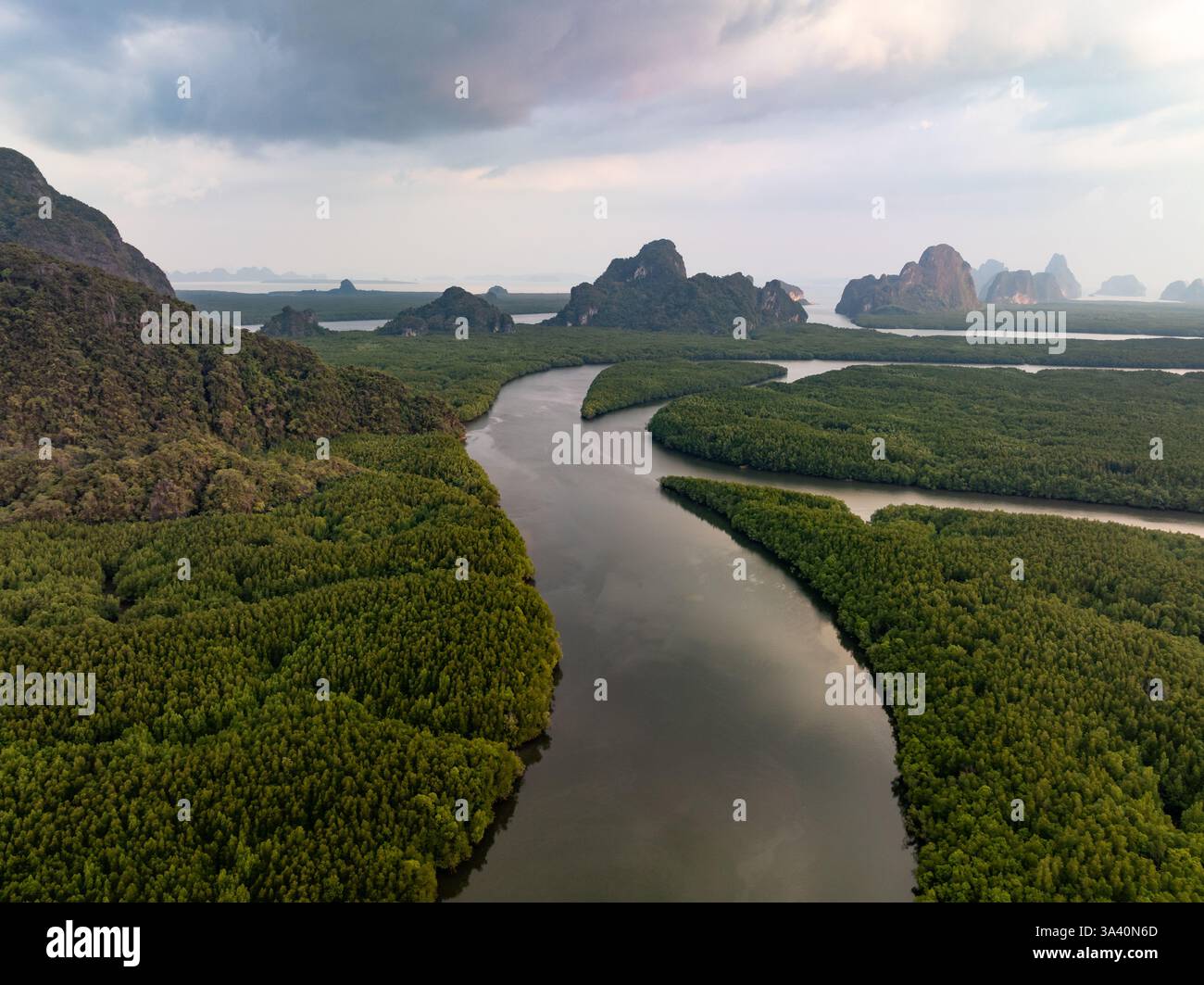 Amazing abundant mangrove forest river,Aerial view of forest trees ...