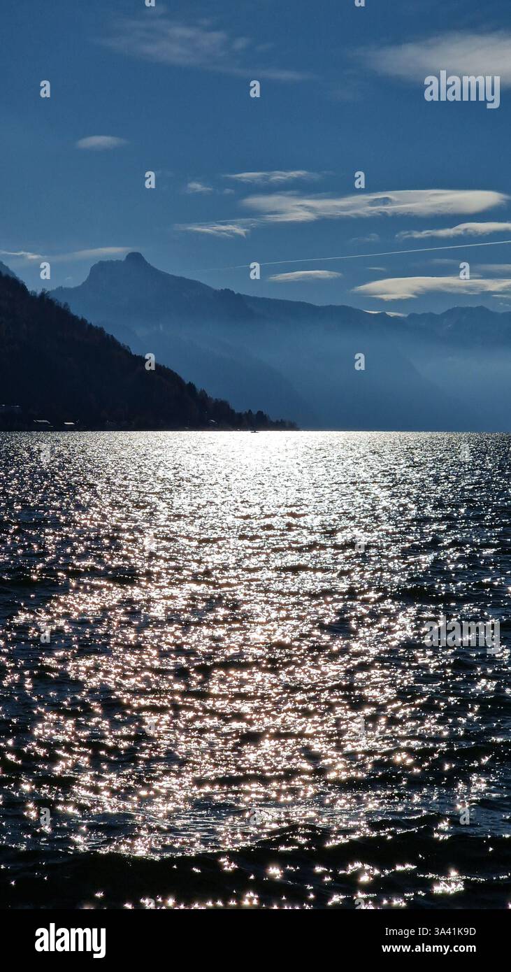 Mirror mirror in the lake - Smartphone Captured Stock Image