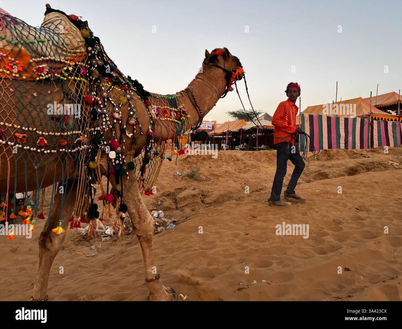 Rajasthan , India, Man with Camel Fair Pushkar Stock Photo
