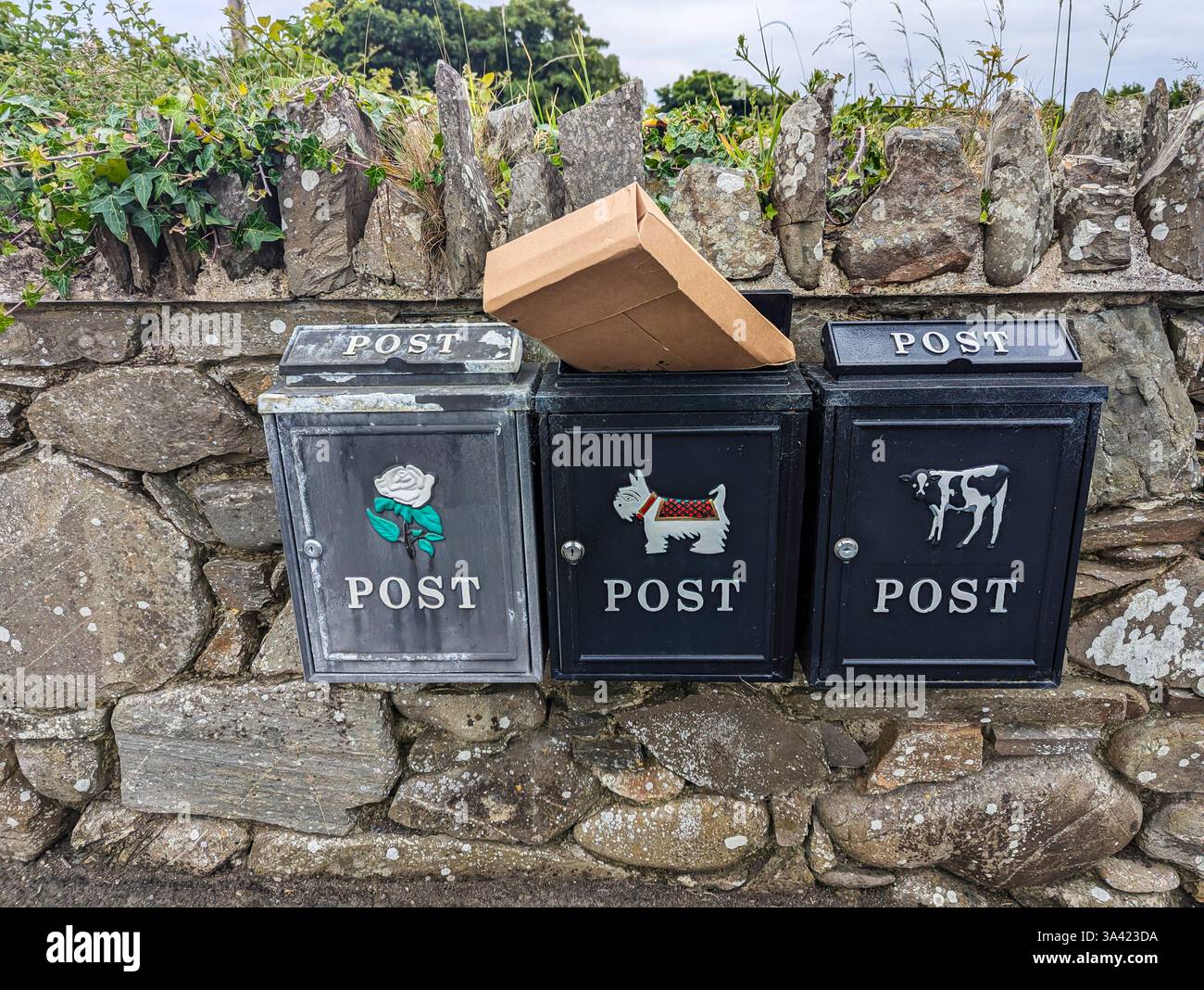 Parcels stick out from post boxes on a wall outside a number of houses ...