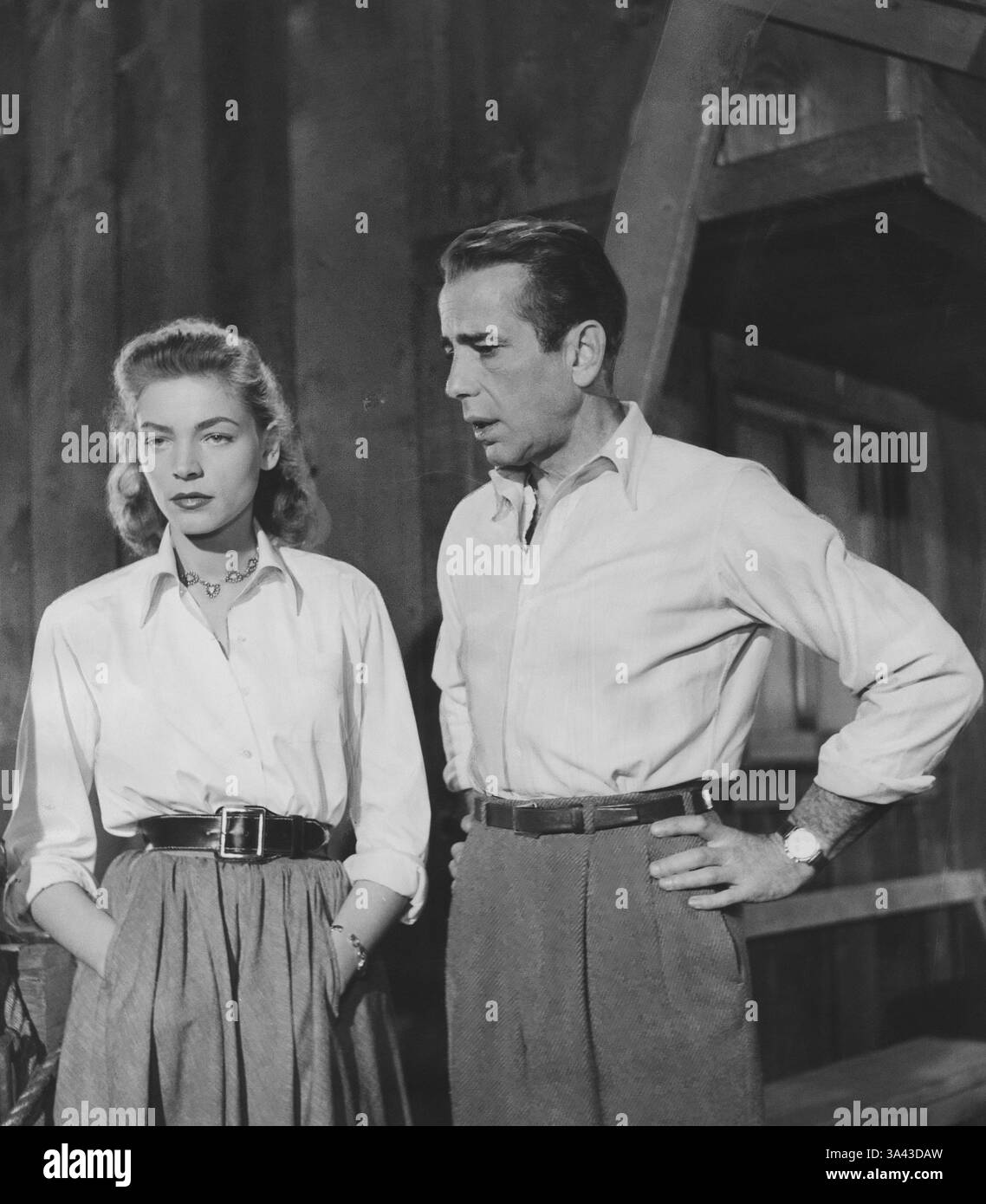 Humphrey Bogart And Lauren Bacall Movies