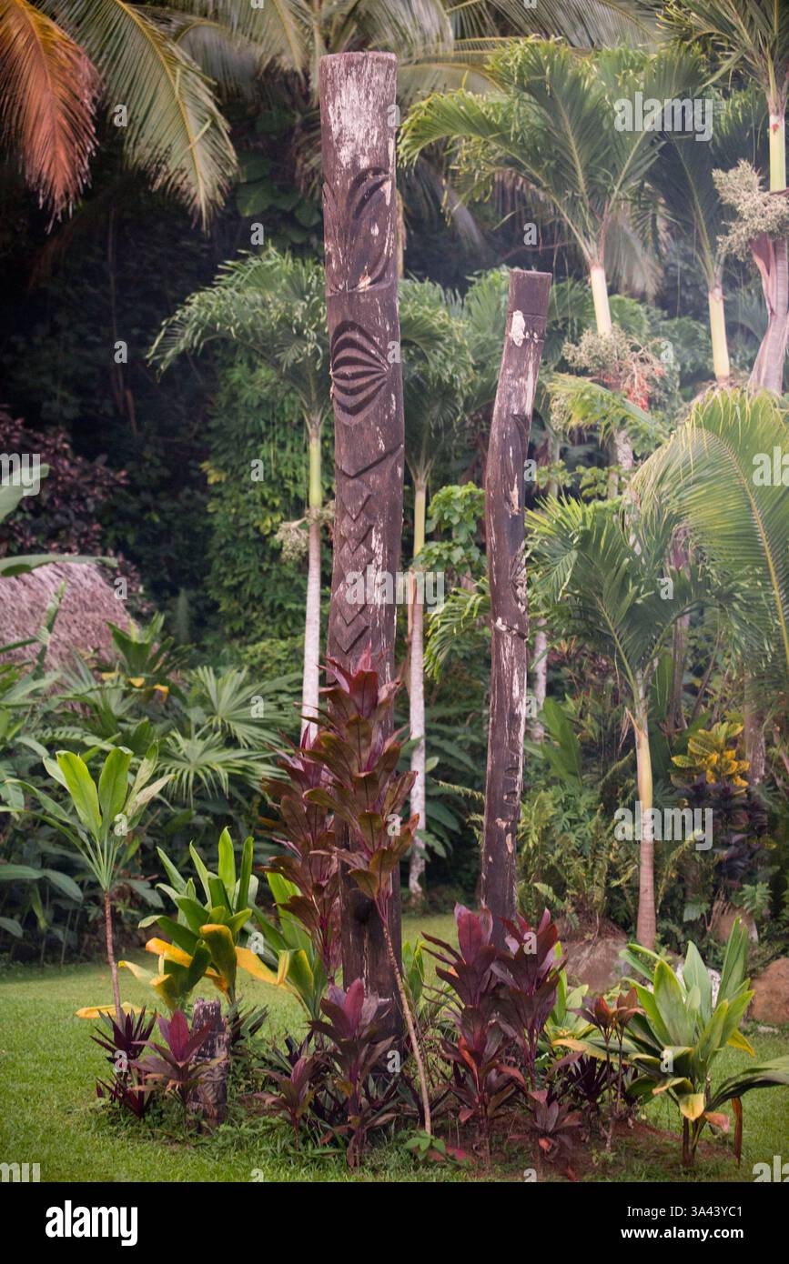 Native Rarotonga Rarotonga Island. Cook Island. Polynesia. South Pacific Ocean. Tattom ...