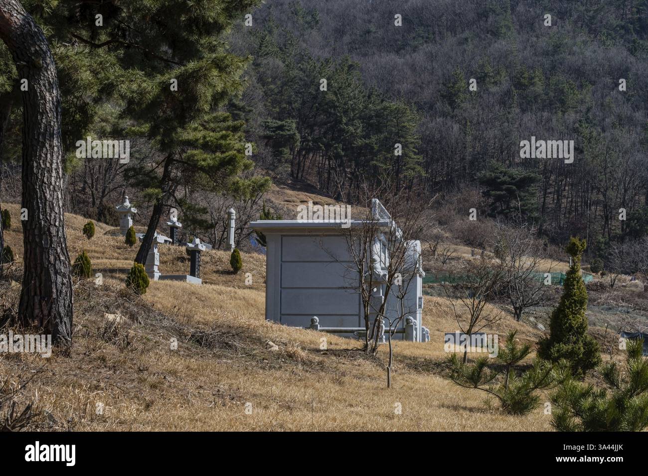 Daejeon, South Korea, March 8, 2020:, Large granite mausoleum in ...