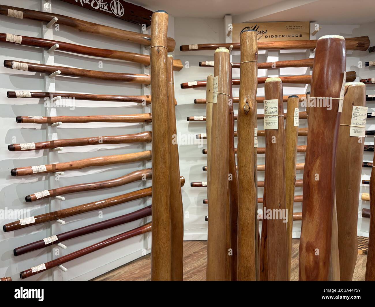 Display of native Australian didgeridoos for sale inside a woodwind ...