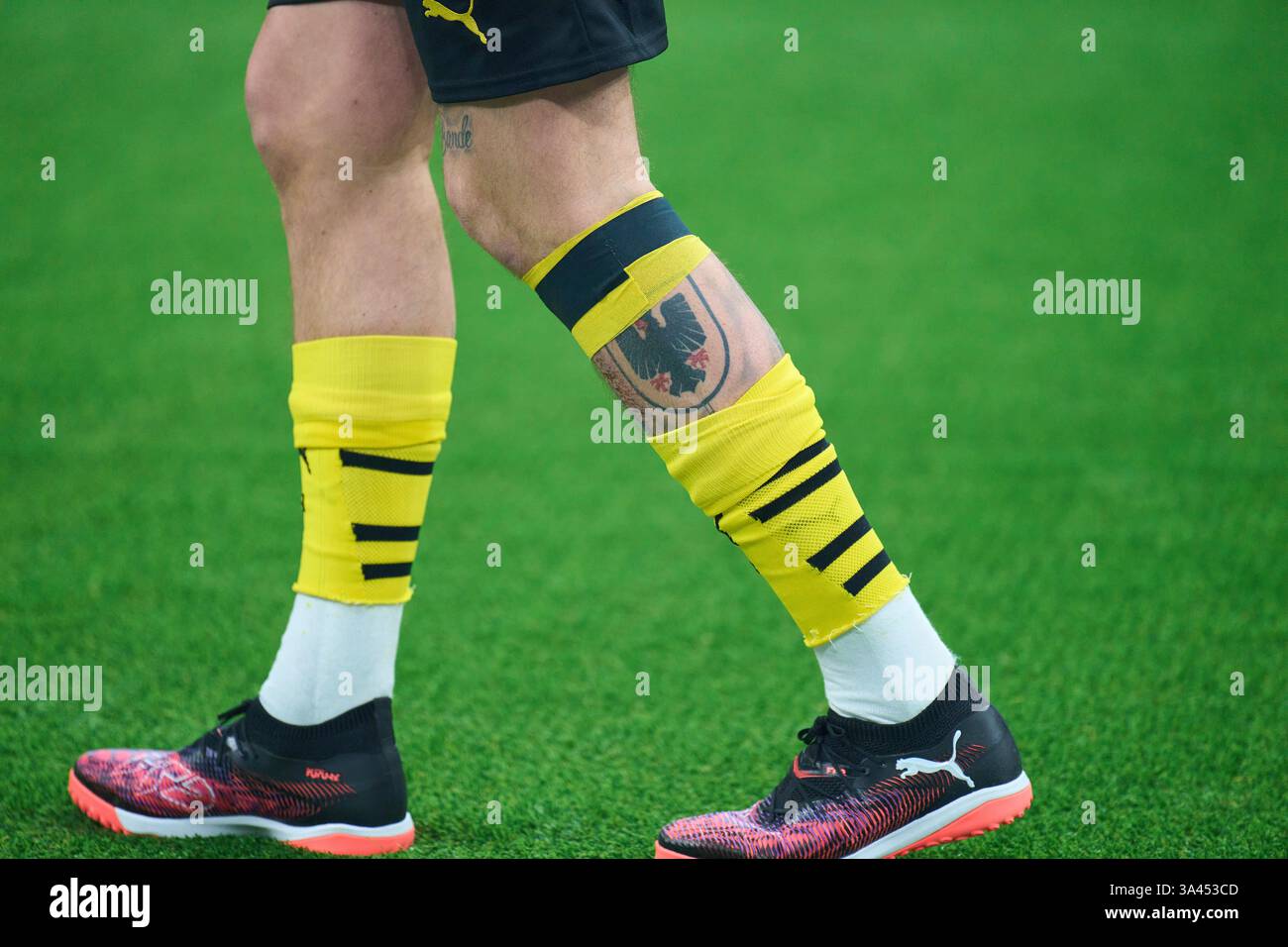 Bvb Tattoo Klein