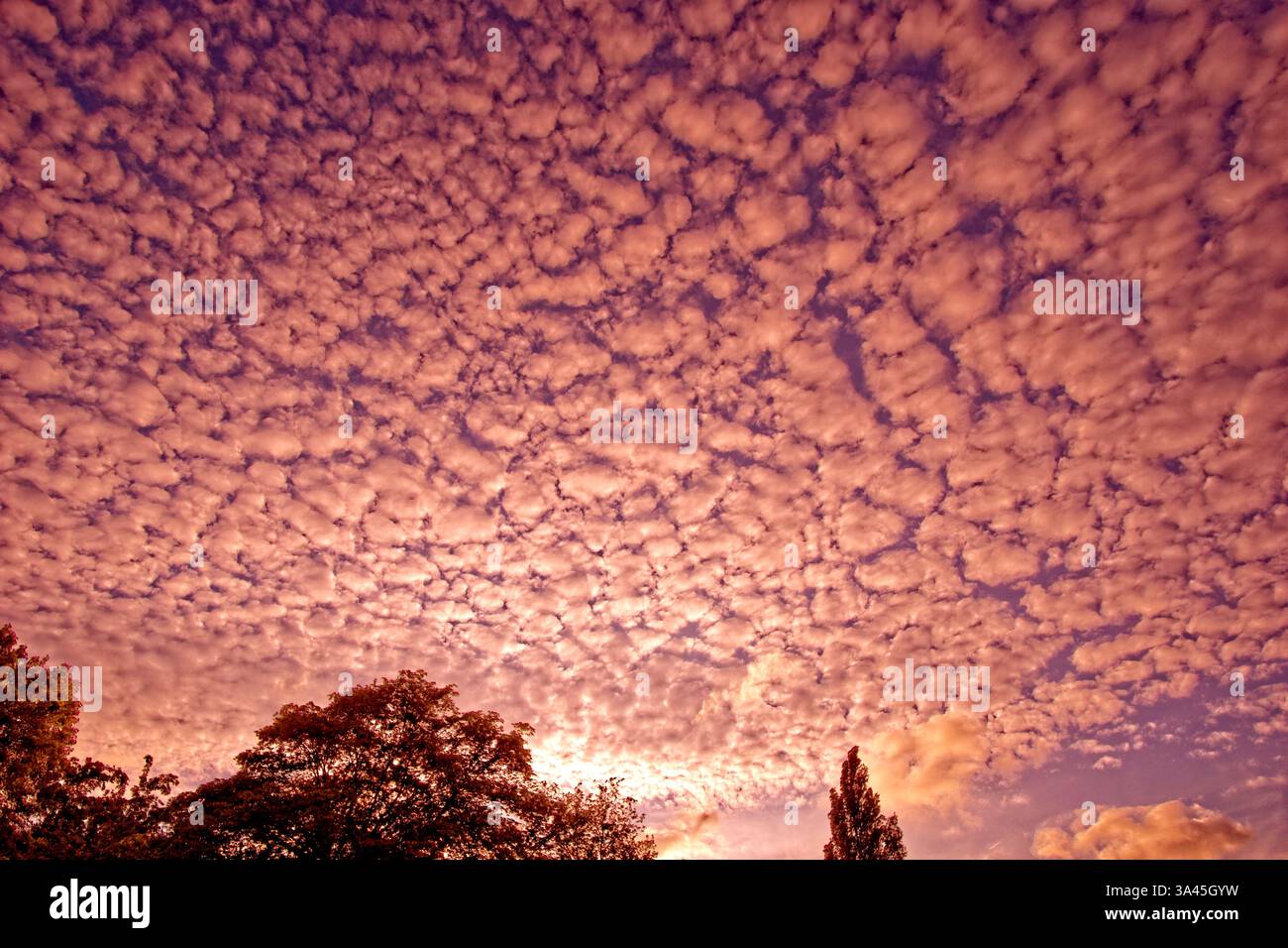 Evening Red sky. Stock Photo