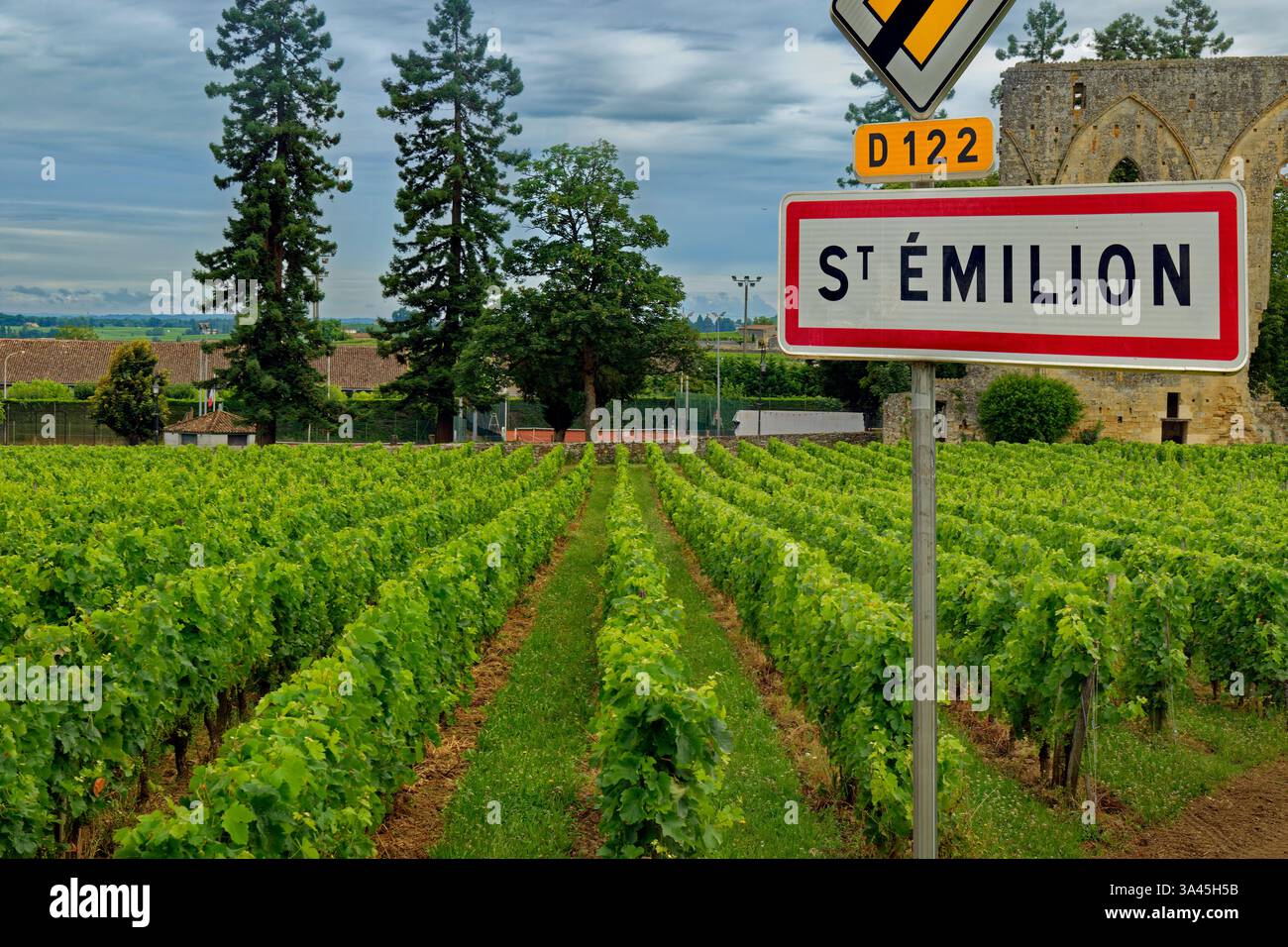 Vineyards of St Emilion in the Bordeaux Region of France. Stock Photo