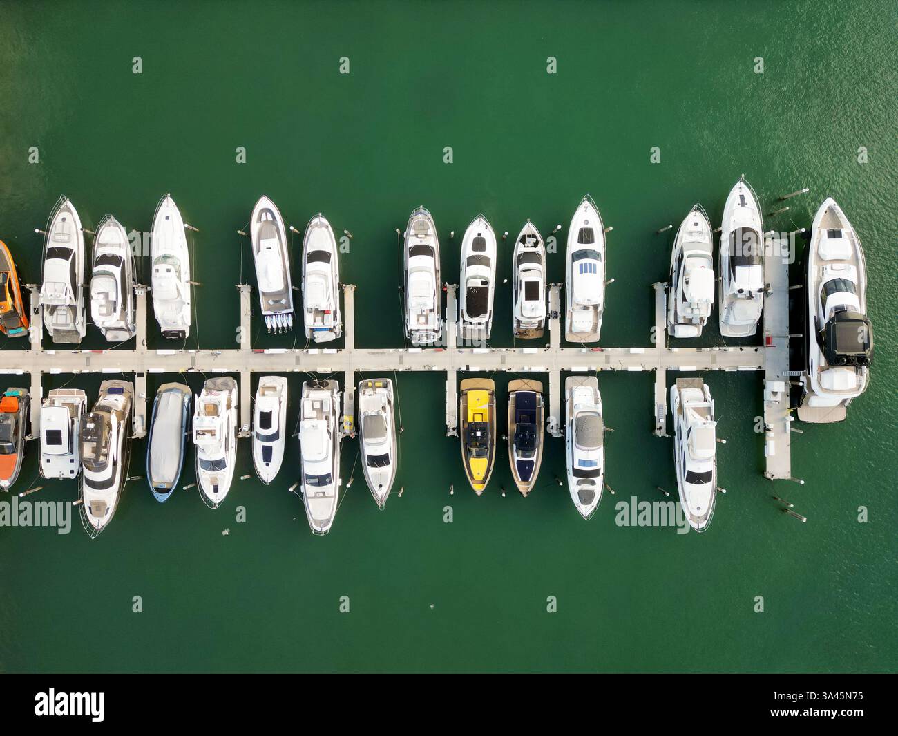 Luxury yacht charter. Miami port marina. Luxury yachting in summer ...