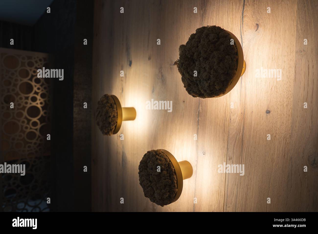 Fresh Look at Wooden Wall With Circular Light Fixtures In Luxury Hotel Interior