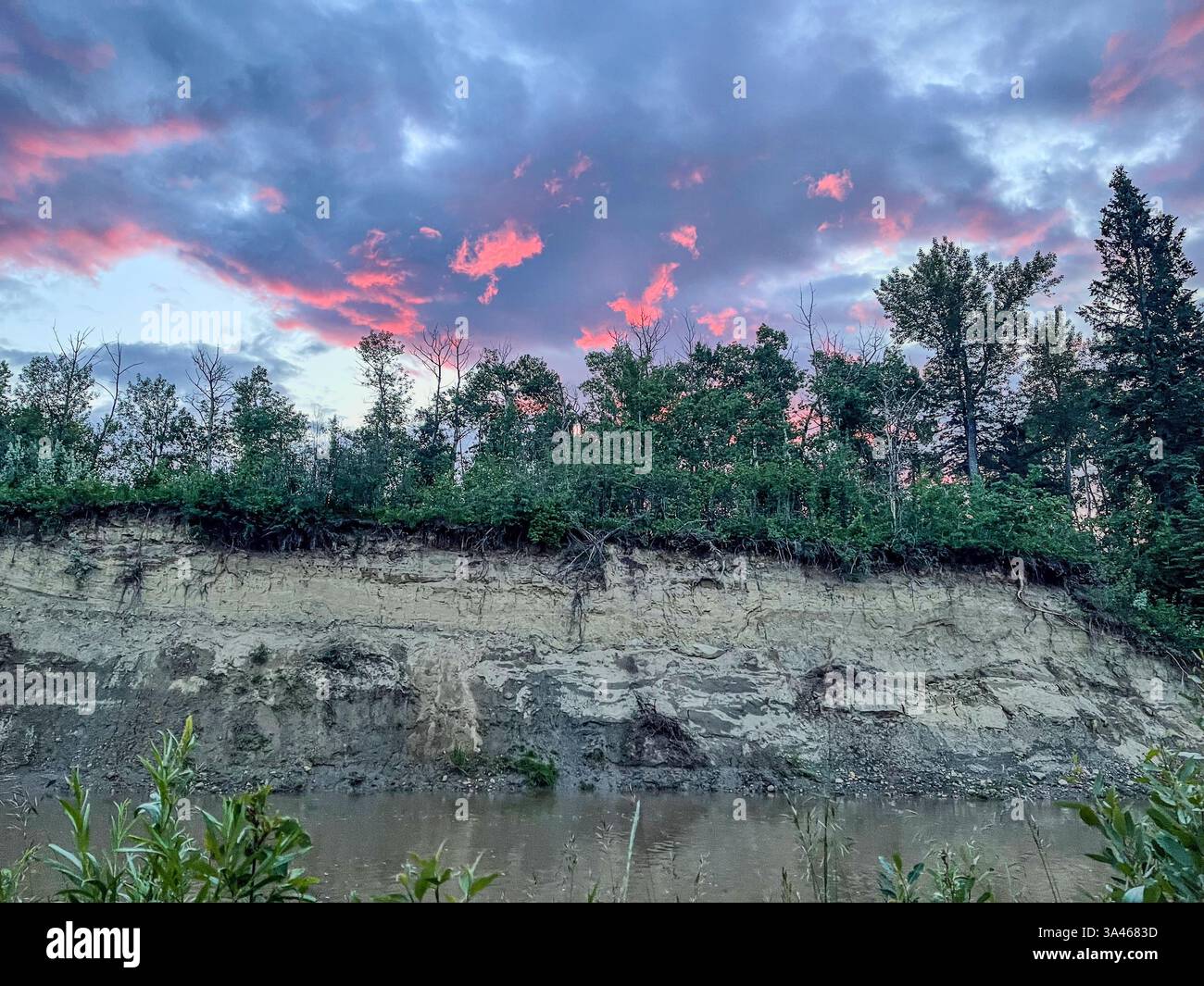 A scenic riverbank with exposed soil layers and lush trees above, set against a sky with pink sunset clouds. The erosion reveals a textured landscape - Smartphone Captured Stock Image