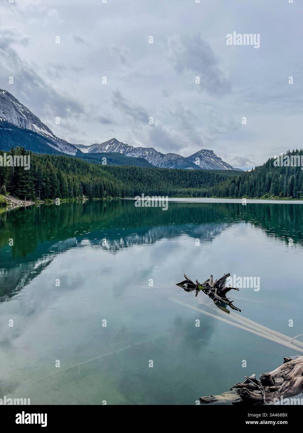 A quiet mountain lake reflecting the cloudy sky and forested peaks. A weathered piece of driftwood floats in the water, adding an element of interest - Smartphone Captured Stock Image