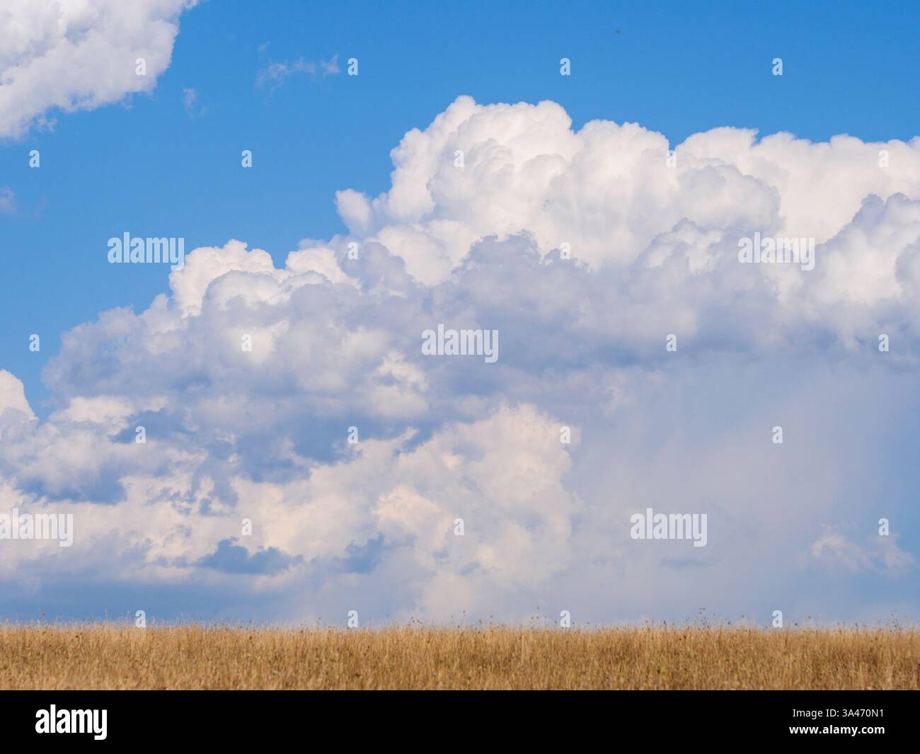Fluffy white clouds drift across a vibrant blue sky over fields Stock ...
