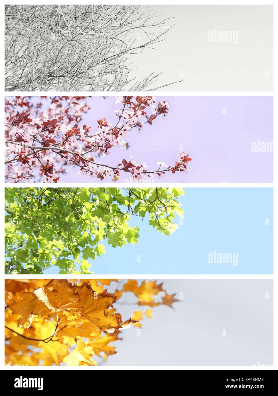 4 seasons collage hi-res stock photography and images - Alamy