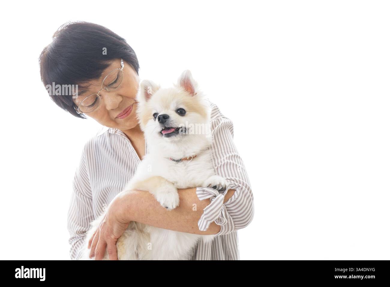 Buying a dog hi-res stock photography and images - Alamy