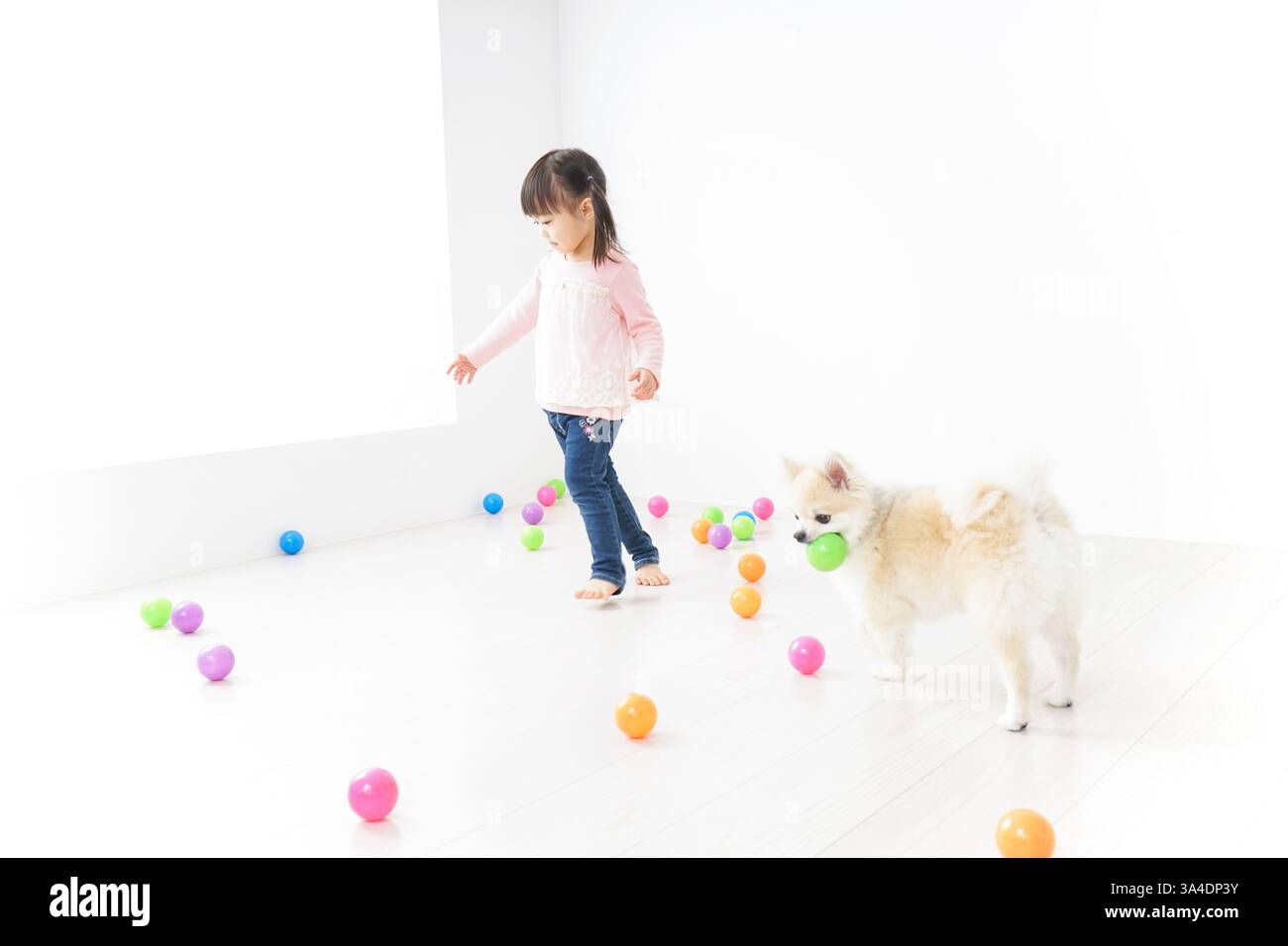 Child playing with dog Stock Photo