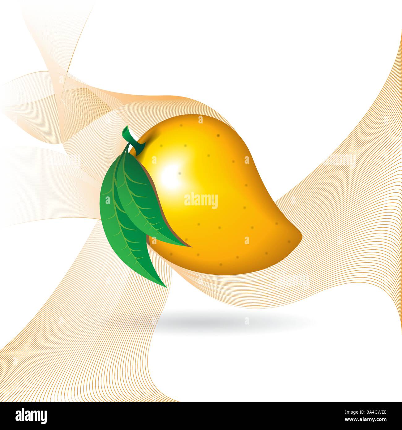 Mango fruit on white gradient waves background Stock Vector