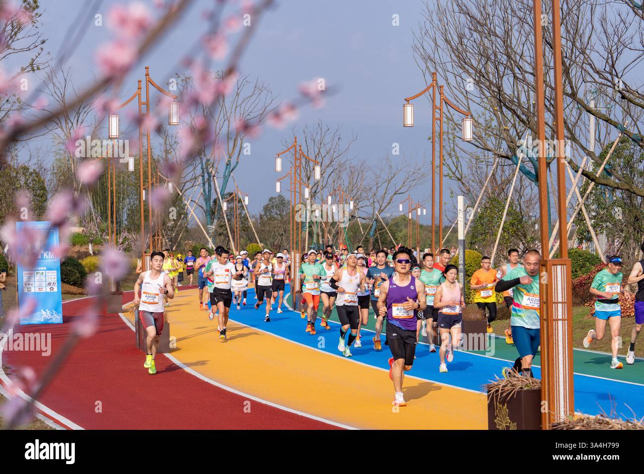 The 2025 Zhejiang Half Marathon kicks off in Jinhua City, east China's ...