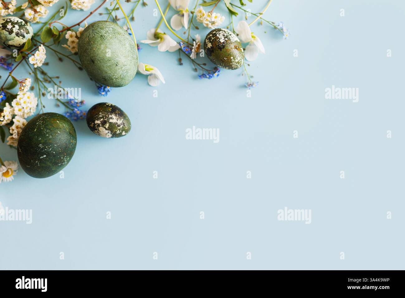 Easter flat lay. Stylish easter eggs and spring flowers on blue background, space for text. Easter modern minimal banner. Season greetings mockup Stock Photo