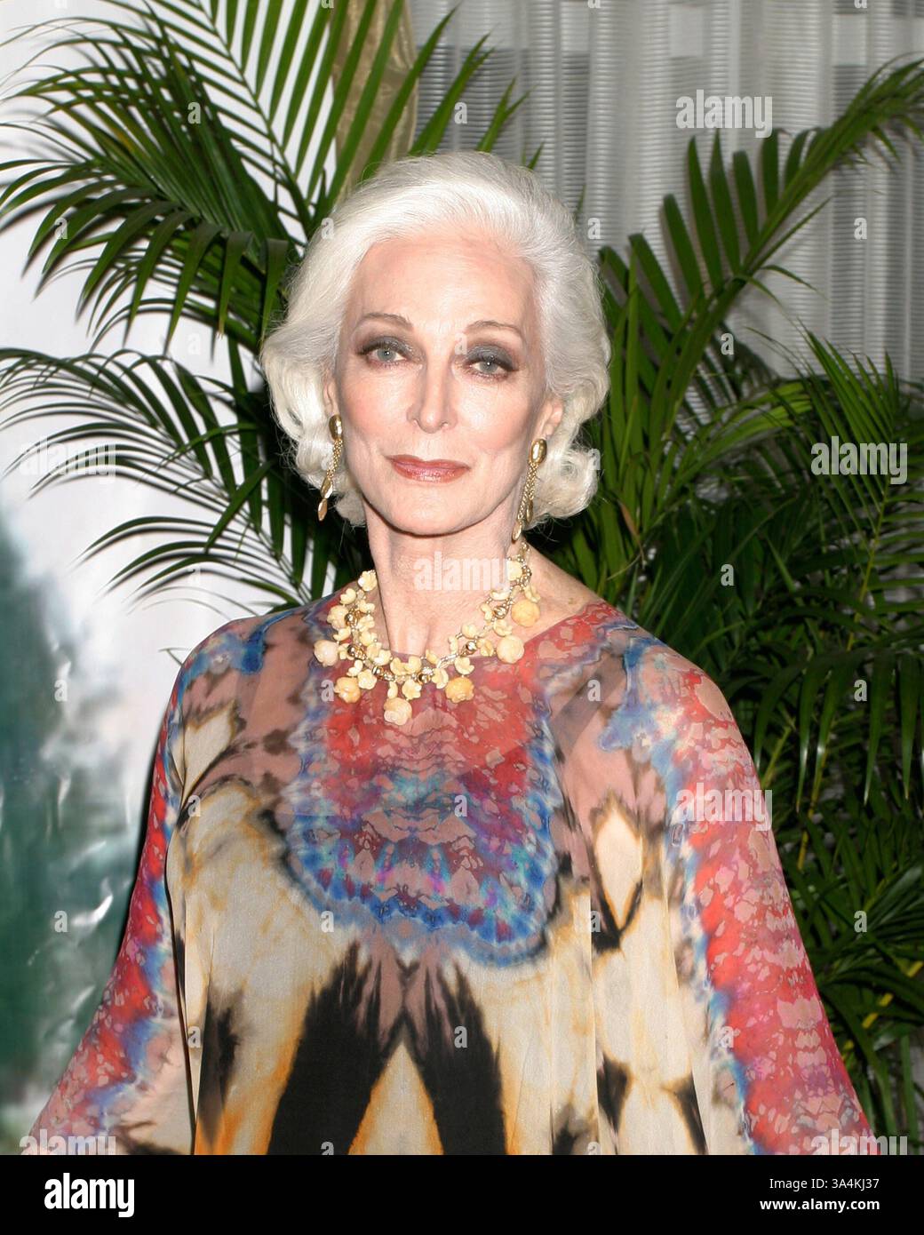 Apr. 16, 2008 - 12 April 2008 - White Plains, NY, USA - Carmen Dell'Orefice (Model) attends The 63rd Boys' Towns of Italy ''Ball of the Year'' held at the Ritz Carlton Hotel.  Credit:  Anthony G. Moore/   K57848AGM.(Credit Image: © Globe Photos/ZUMAPRESS.com) Stock Photo